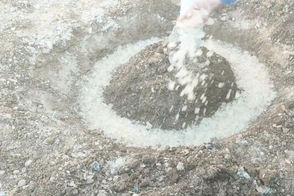 تصویر 1 از فروش ویژه خاک ژله‌ای با مشخصات صادراتی